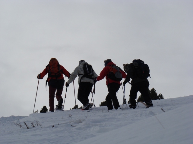  Excursion de différents niveaux 